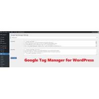 Google Tag Manager - WP Plugin