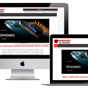 readymade website ecommerce